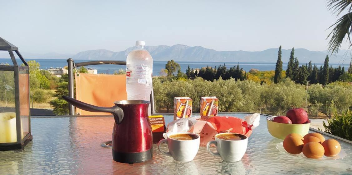 View Διαμερισμα Villa Loukissia Luaran gambar